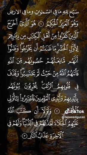 سورة الحشر مكتوبة كاملة بصوت الشيخ سعد الغامدي