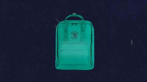 Fjallraven Kånken: Eco-Friendly Backpack with a Pricey Question