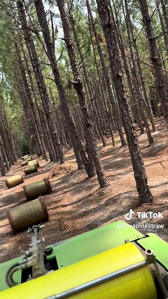 Pinestraw Rolls: Quality and Value for Your Landscape