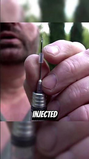How Do TRANQUILIZER DARTS Work? 🎯💉🤔