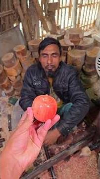 amazing wooden apple making process using wood. কাঠ ব্যবহার করে আশ্চর্যজনক কাঠের আপেল তৈরির #shorts