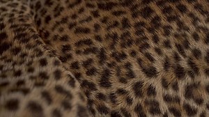 299 reactions · 18 shares | Ladies, this season ZX Flux has got you...