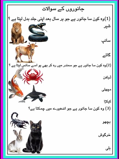 جانوروں کے سوالات #foryou #fypシ゚viral #viralvideo #viralvideo #videoviral