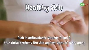 1.7K views · 34 reactions | Star Anise is an exotic and aromatic star-shaped spice derived from the seed pods of the Illicium verum plant's fruit. In addition to enhancing the flavour of every recipe in which it is used, this spice has been used for thousands of years in conventional medical applications.✨ #modernstorekl #modernstoremalaysia #modernstorebrickfields #indiangrocery #staranise #indianspices #benefitsofstaranise | Modern Store Indian Grocery | Facebook