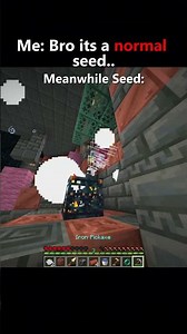 That One Bro In A Minecraft Manhunt #minecraft