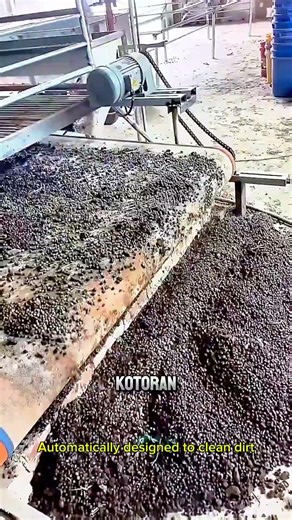 Kandang Kambing Otomatis, Kotoran Bisa Bersih Sendiri Tanpa Capek!