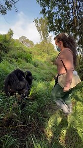 137K views · 1.3K reactions | The gorillas really understand like man...