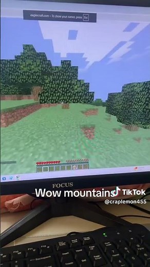 How to play Mineraft at School 🤯 #eaglercraft