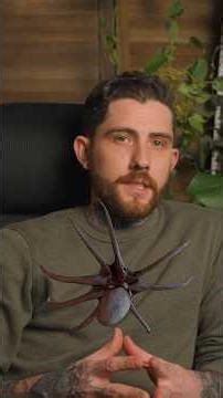 Octopus Tree in Oregon: Why this tree grows like an octopus