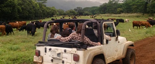 SendenBanaKalan The Descendants 2011