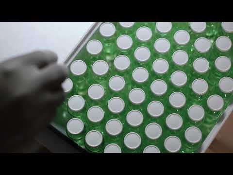 Formulation & Sterile Fill-Finish Facility