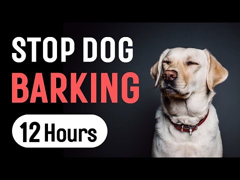 Sound To Stop Dogs Barking | For dog training and correction | 12 Hours