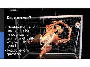 BTEC Sport and Exercise Science - Unit One - A2 Muscular System