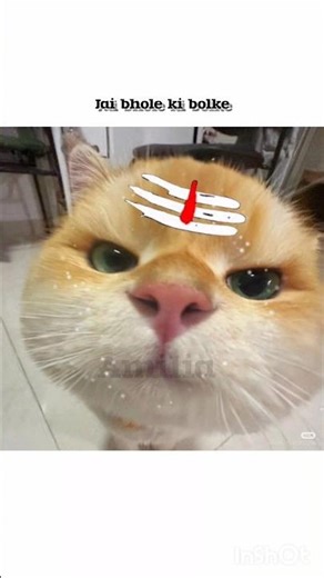 subscribe guys!!!😶‍🌫️fypシ゚viral #asthetic #recommended