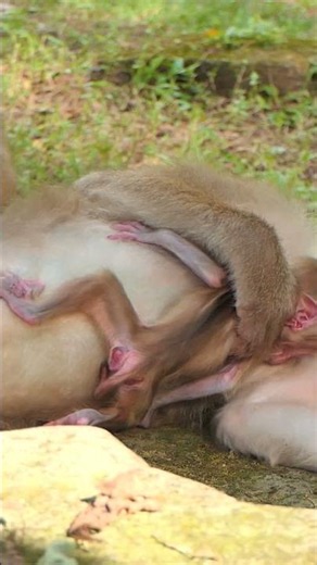 cute baby Alife and mom Amanda Young ! play happiness sleeping