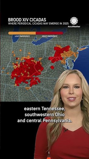 SOON: The Cicadas Are Coming! (Map)