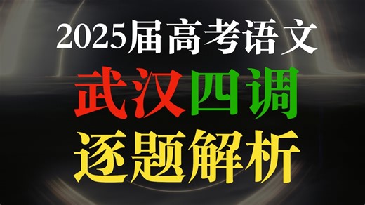 【稳准严·高效能】2025武汉四调（二模）·逐题精讲