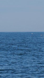 5.1M views · 53K reactions | Fish jumping out of the water! #fishing | Coastal WorldWide | Facebook