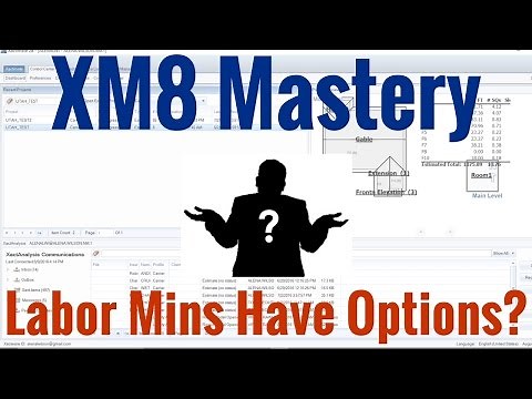 Labor Minimum Options