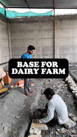 Dairy with roomers on Instagram: "Dairy Farm k Liye Base Ka Construction Chalu Ho Chuka Hai #dairyfarm #dairy #dairyfarminindia"