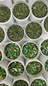 468 reactions · 21 comments | Into the woods we go! With our specially made Frit Mixes, showcased here is the Meadow Mix and the Woodland Mix, for all of your flowery scenes and mystical forest needs!栗 Why not try pairing these with some of our Green Stringers and Noodles! Or Murrine such as the Flower Mixes! . . . #fusingglass #fusedglass #glasslove #glass #glassart #creativeglassguild #woodland #flowerart #bristol #bristolartist #bristollife | Creative Glass Guild | Facebook