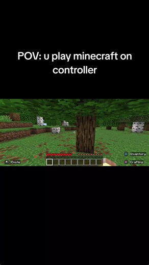 Minecraft Experience on Controller: A Unique POV