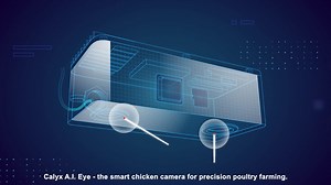 An Introduction to Calyx AI Eye - Chicken Scale Camera | Calyx