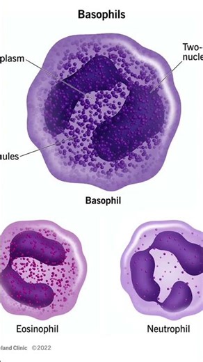 CBC test, complete blood count #doctor #pathology short #humanbody #test