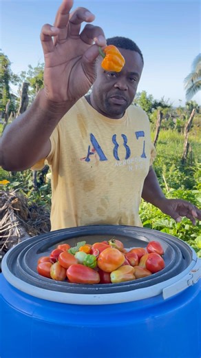 Man eat what he plant 🌱