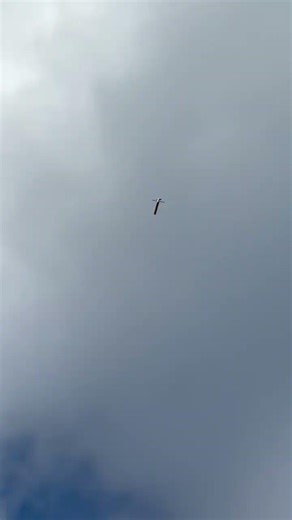 Monocopter-E prototype demo flight