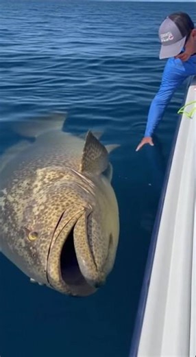 Catch and release the biggest fish of my life. Unforgettable moment on the water.