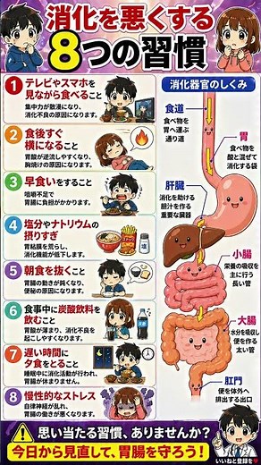 消化システムをハックせよ！効率的な栄養吸収を妨げる「8つのバグ」の特定と修正ガイド。スマホ食・炭酸・ストレスから胃腸を守る最強戦略