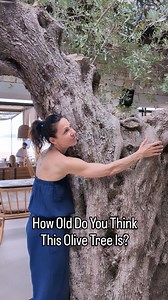 16K views · 60 reactions | How old do you think this Olive tree is?...