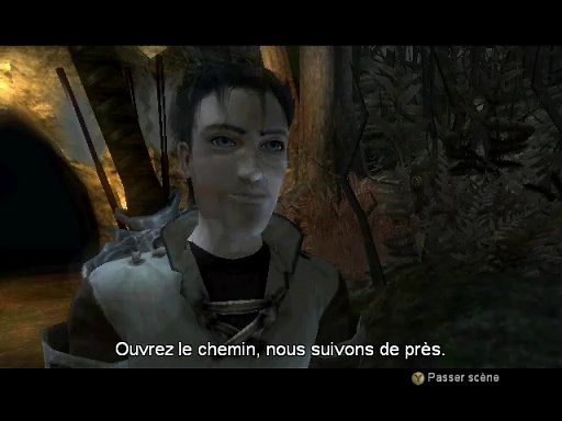 Fable: The Lost Chapters online multiplayer - xbox