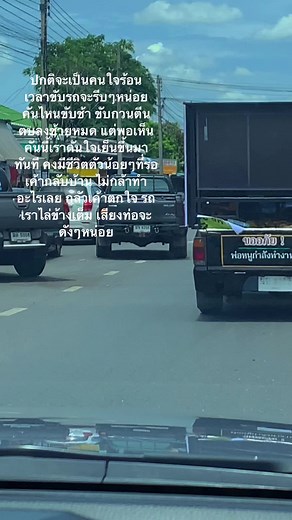 Discover the Unique Green Turtle Truck in Thailand