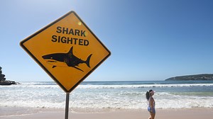 Moving tribute at Bondi Beach for 12yo shark attack victim
