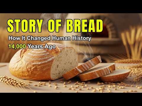 Story of Bread:How It Changed Human History