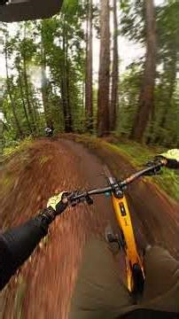 Demo Flow MTB Trail Segment 6