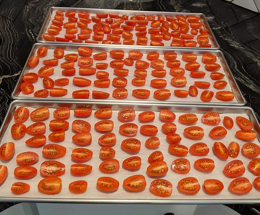 How To Freeze Dry Tomatoes - Freeze Drying Mama