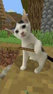 Cats enter the Minecraft overworld🙀🥹 #shorts #cat #minecraft #cute #funny