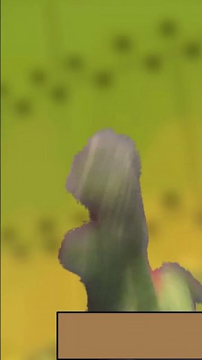 D Sam swims in money