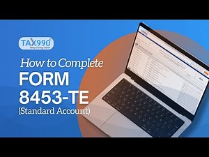 How to Complete Form 8453-TE Using Tax990.com