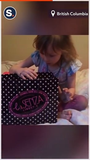 Little Girl Surprised With Kitten | storyful