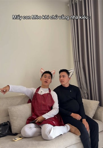 Mèo Làm Gì Khi Chủ Vắng Nhà?