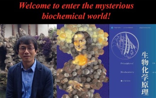 南京大学-生物化学（国家级精品课）