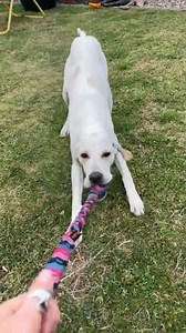 5.1K views · 15 reactions | When boredom strikes, a few minutes of...