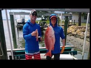 Spear and Snapper Fishing Alligator Point