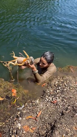 No saben lo difícil que es atrapar iguanas bajo el agua, son rapidísimas. En Florida, por ley, las iguanas verdes son consideradas una especie invasora porque interrumpen el equilibrio de la fauna local. Tú te atreverías? 🦎 Catching iguanas underwater isn’t easy they’re insanely fast. In Florida, they’re considered an invasive species. 📹: @_spidey24 | Giorgiana Rosas