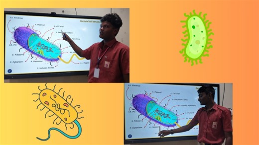Johnson Grammar School on Instagram: "Step into the captivating world of prokaryotic life! In this video, our Grade XI students creatively unravel the hidden architecture of bacterial cells—those tiny yet extraordinary organisms crafted by nature. Though simple in form, bacterial cells are remarkably efficient. Their unique structures enable them to survive and thrive in almost every environment on Earth. This short presentation highlights the structure and function of these microscopic wonders 
