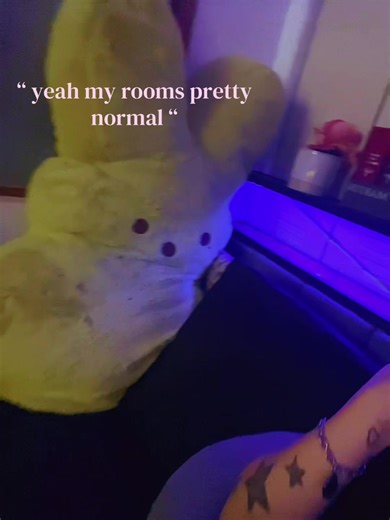 Exploring the World of Leopard Geckos